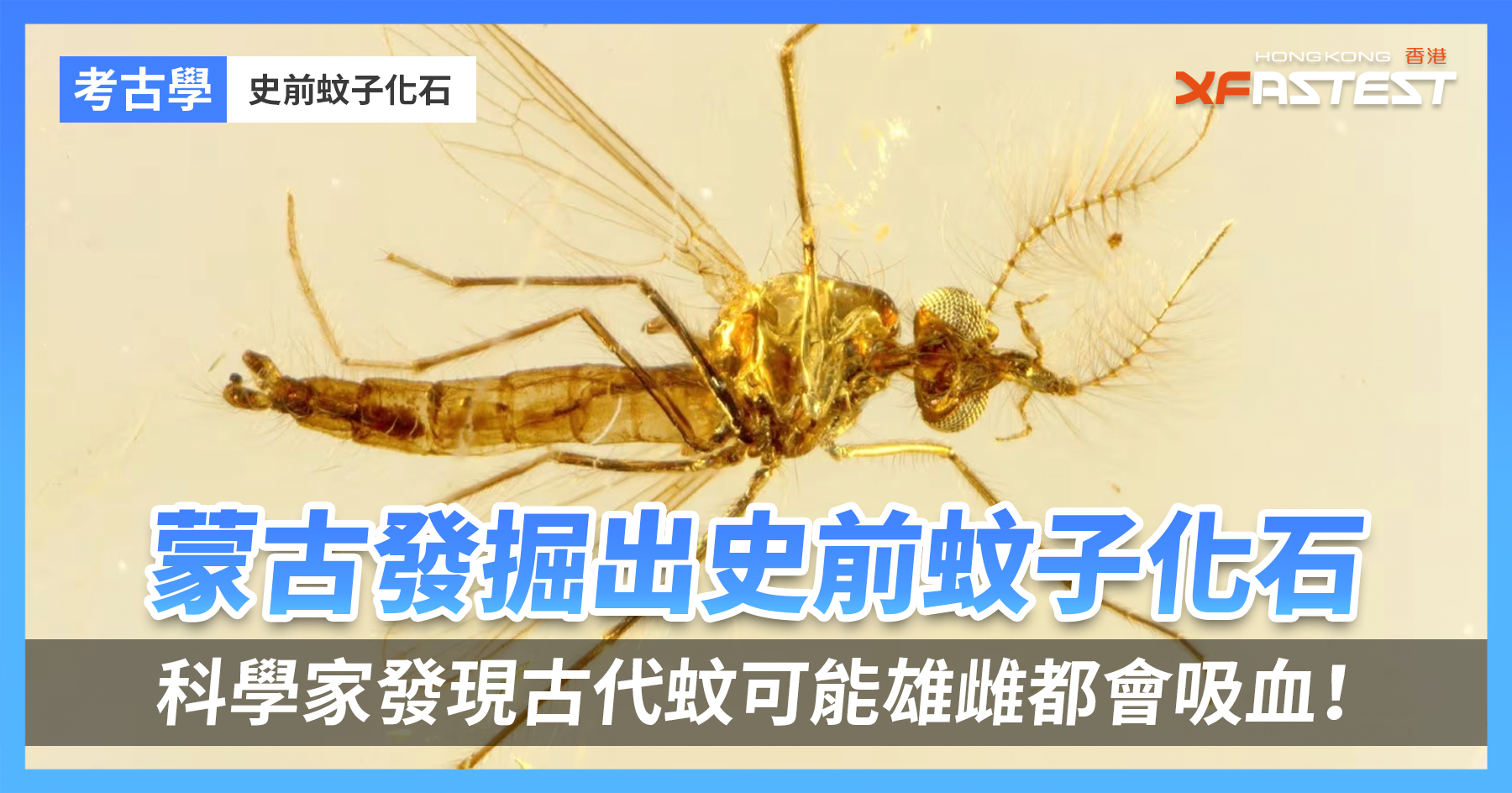 蒙古發掘出史前蚊子化石,科學家發現古代蚊可能雄雌都會吸血! - XFastest Hong Kong
